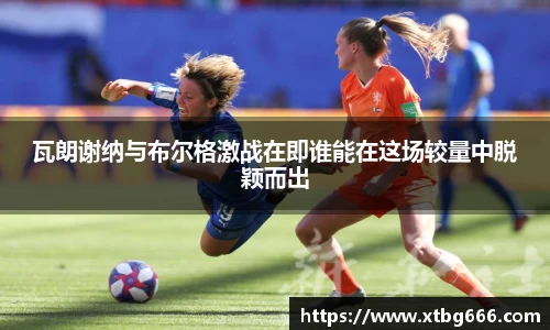 完美体育平台